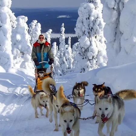 Lampiranta Log Domek alpejski Hossa