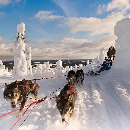 Chalet Lampiranta Log Hossa
