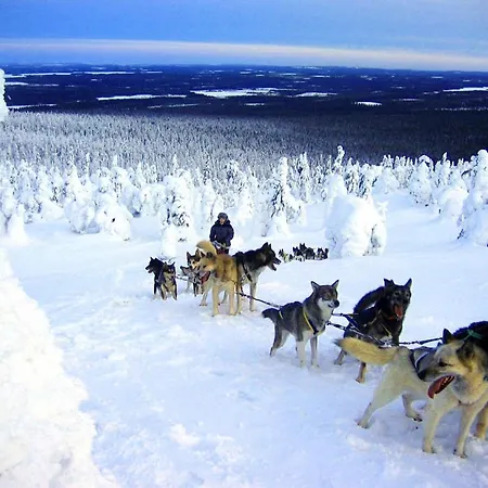 Chalet Lampiranta Log *