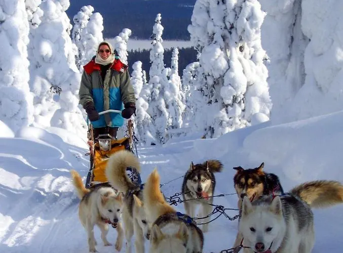 Lampiranta Log Chalet Hossa