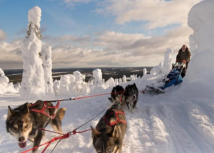 Chalet Lampiranta Log Hossa