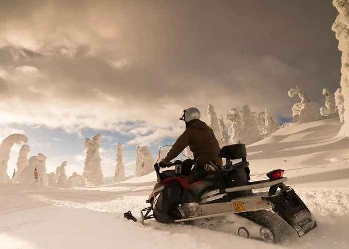 Chalet Lampiranta Log Hossa