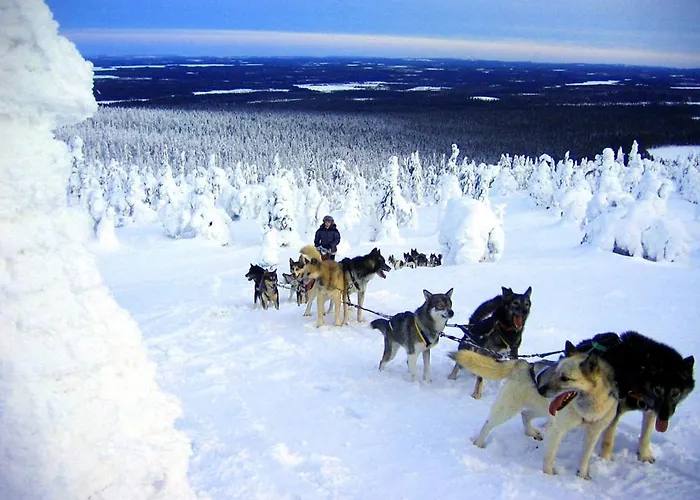 Chalet Lampiranta Log *